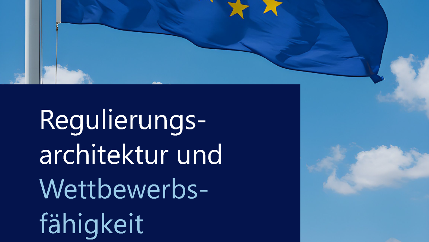 Publikation Regulierungsarchitekur Wwettbewerbsfaehigkeit
