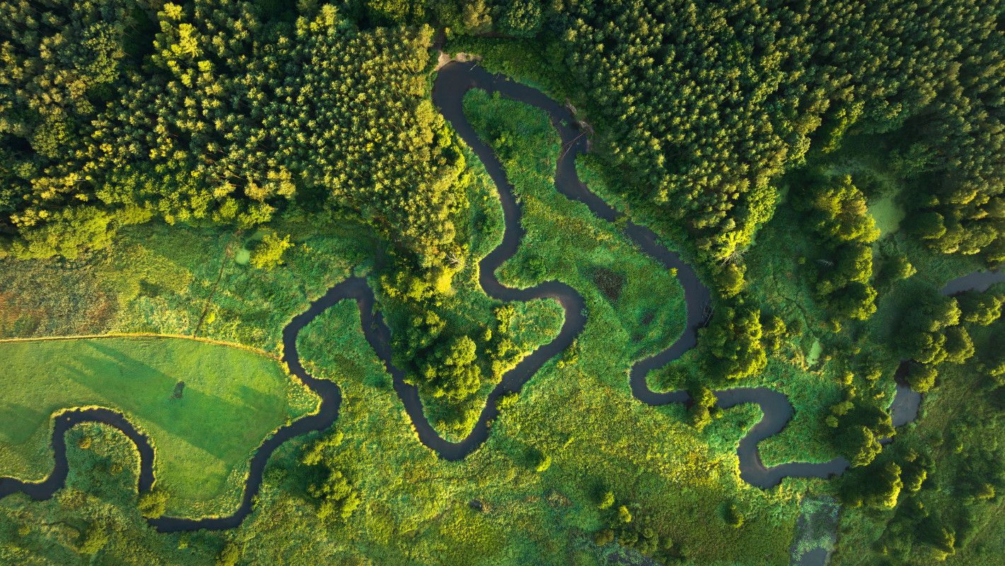 Naturbelassener Fluss