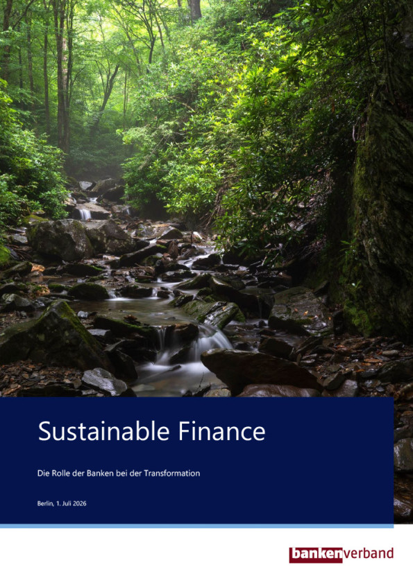Kurzpapier: Sustainable Finance