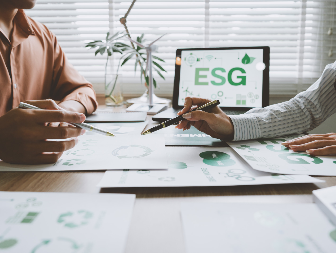 ESG