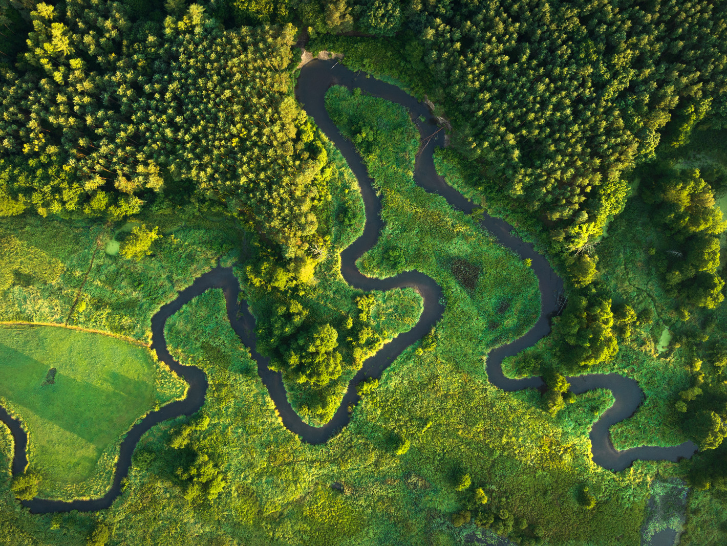 Naturbelassener Fluss